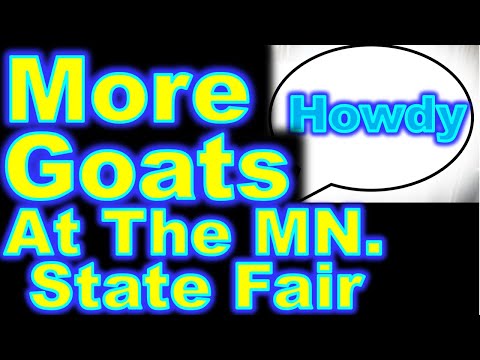 More Goats At The MN. State Fair