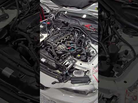 BMW Coolant Leak B58 what a mess #automobile #shorts #ytshorts #bmw #coolantleak 11428583895