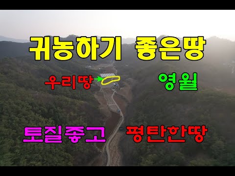 (영월의 귀농귀촌이야기)남면 조전리 접근성 좋고 토질도 좋으며 평탄한 980평귀농부지 평당8만원/영월귀농귀촌/영월부동산매매/영월토지