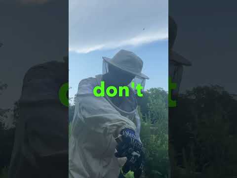 The Dos And Don’ts of beekeeping