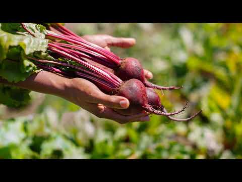 2022 State of Hunger Address / Discurso sobre el estado del hambre de 2022