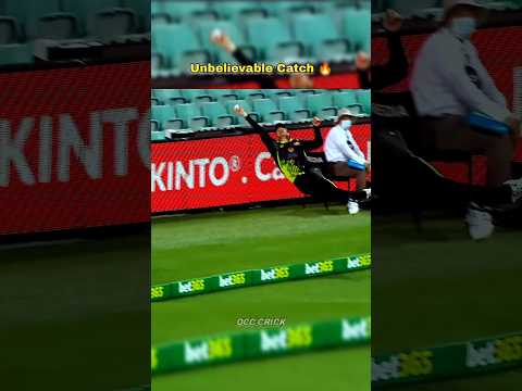 Unbelievable Catch in Cricket History 💥🔥 #cricket #shorts