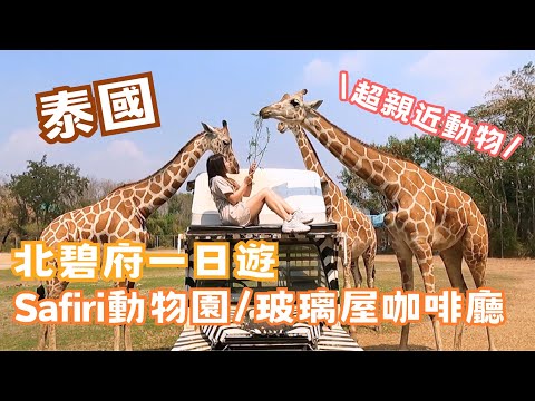 跟長頸鹿拍照！Safari Park動物園餵長頸鹿、抱小獅子、玻璃屋咖啡廳、桂河大橋、泰國北碧府一日遊 ｜摳妮Conie