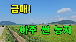 가격인하 평단가 125,000원 / 강화도 부동산 급매! 강화도농지! 스마트팜,귀촌,대토등 추천하는 강화농지급매