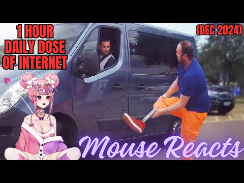 1 Hour & 6 Mins of Mouse Reacting to Daily Dose of Internet (Dec 2024 pt. 2)