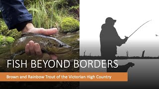 Winter Alpine Trout of Victoria, Australia