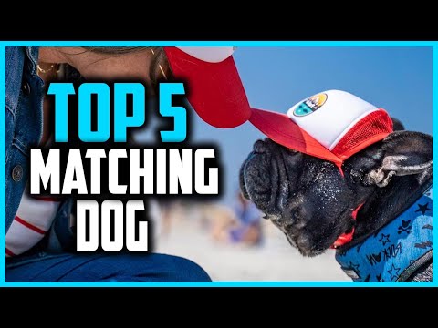 ✅Top 5 Best Matching Dog in 2025