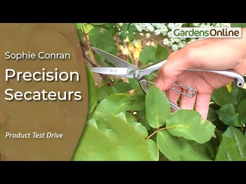 Sophie Conran Precision Secateurs