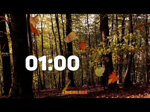 1 Minute Autumn Timer 🍂 - Relax and Unwind in the Fall Season