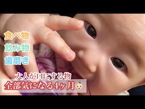 【生後4ヶ月】早く食べたい！飲みたい！興味深々！大人の真似っこ👶