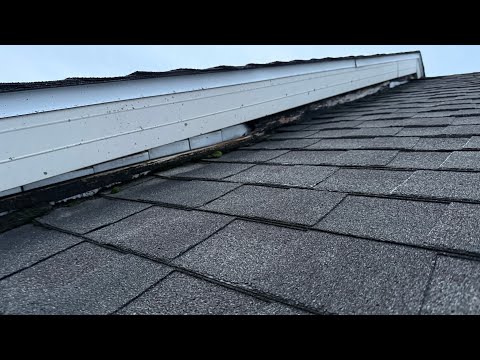 Live roof leak inspection #2