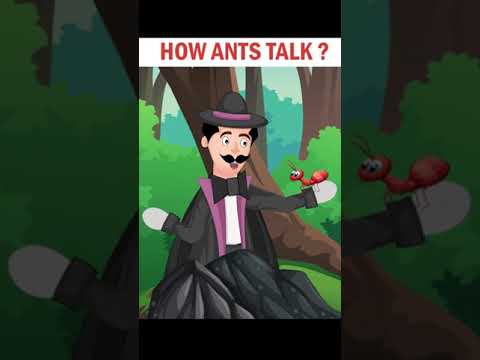 Why ants talk ? Knowledge Time with Logical Baniya #Shorts