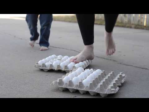 10 Egg Science Experiments for Kids