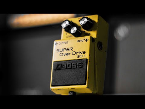 Boss SD-1 (King of the Budget Overdrive Pedals)