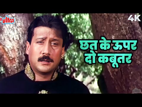 जुड़वाँ जैकी श्रॉफ का जबरदस्त गाना | 4K Song | Chhat Ke Upar Do Kabutar | Dil Hi To Hai