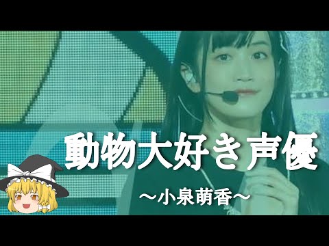 【小泉萌香ヒストリー】すぐに詳しくなる動画