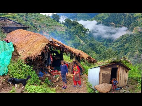 Organic Nepali Rural Village Food || Rural Sheep Shepherd Food || Sisno & Roti || working village