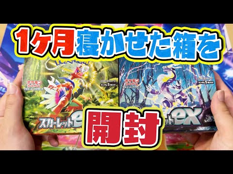 【ポケカ】1ヶ月寝かせたスカーレットexバイオレットexを開封！