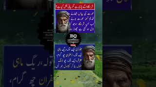 New journey golden words Urdu #quotes #shorts #youtubeshorts #trending #motivation #viralvideo