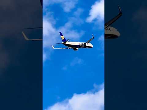 Ryanair Close-up take off at Barcelona #youtubeshorts #shorts #short #aviation #planespotting #bcn