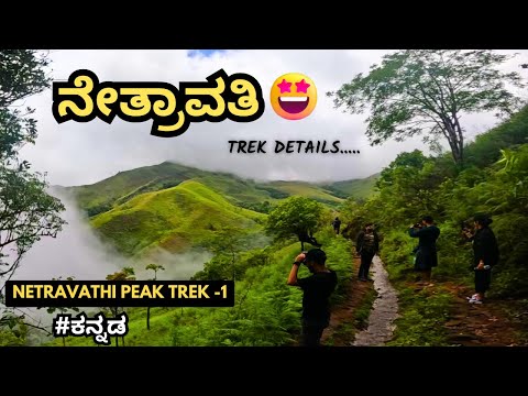 NETRAVATHI PEAK TREK-1| ಸ್ವರ್ಗ ಗುರು😍|NETRAVATHI PEAK COMPLETE GUIDE| Places to visit in CHIKMAGALUR