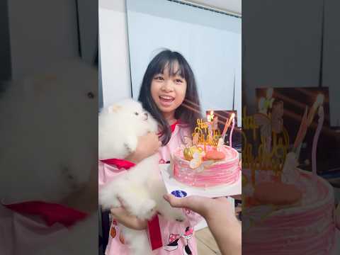 วีว่าอยากเป่าเค้กวันเกิด 🎂11 ขวบแล้วนะ👧🏻 #shorts #birthday #wiwawawowtv #surprise