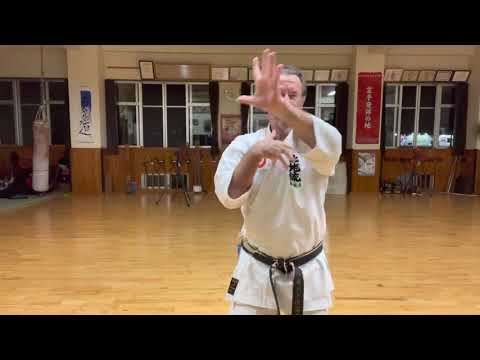 Uechiryu Karate Sanseiryu segment explained #karate #上地流 #空手 #uechiryu #沖縄 #okinawa