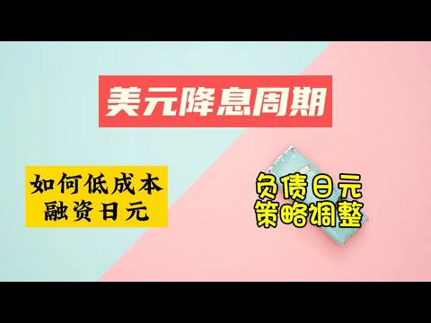 美元降息周期如何低成本融资日元|盈透低成本负债日元策略调整|美元贬值|日元升值