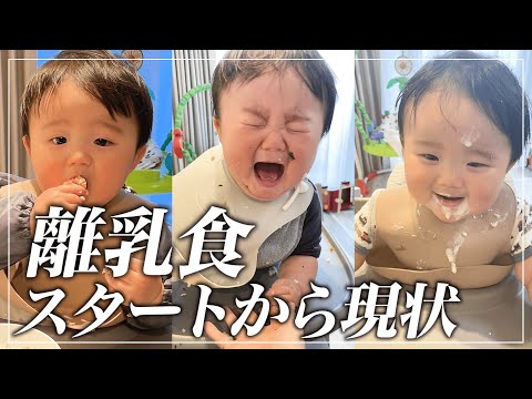 【離乳食】離乳食を始めてから1歳になった現在までの苦労！悩めるママにオススメのベビーフードって？！