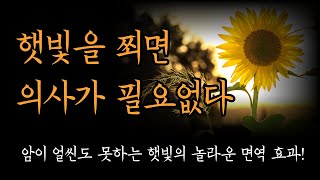 햇빛을 쬐면 의사가 필요없다 [ '햇빛'의 오해와 진실]