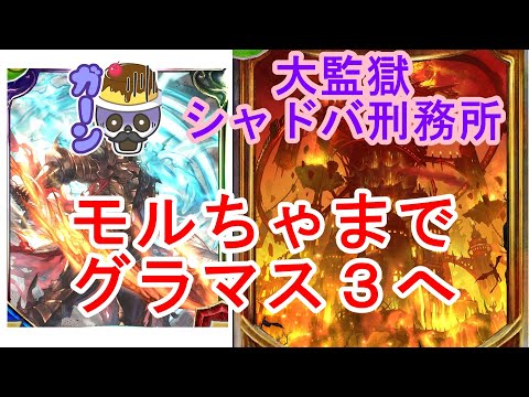 【元覇者ネクロ専５万勝】もるちゃま＼(＾o＾)／もるちゃま＼(＾o＾)／【【シャドウバース　Shadowverse】