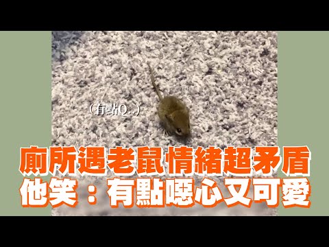 廁所遇老鼠情緒超矛盾　他笑：有點噁心又可愛｜搞笑｜米奇｜驚嚇