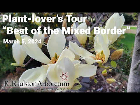 Plant-lover's Tour - "Best of the Mixed Border"