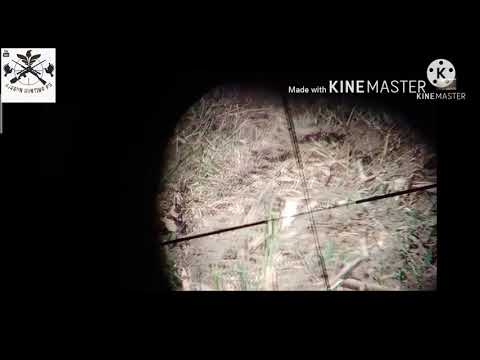 Bird Hunting PH ep24: Scope cam is really back