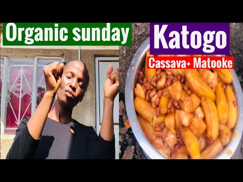 Valentines day recipe idea & organic praise and worship, katogo of beans, matooke & cassava