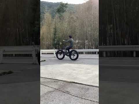 チョッパーハンドルのファットバイクに乗ってみた #Shorts