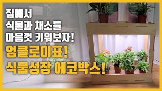 식물 성장 에코박스 만들기. 인천과학문화거점센터 우리동네 과학클럽 식물 성장 생장 LED 풀스펙트럼