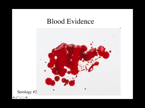 Forensic Serology: Notes 2  - Blood evidence