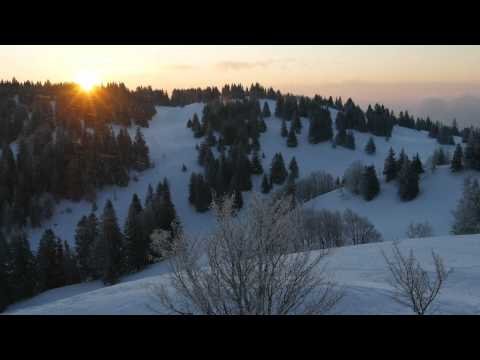 Winter Alpine Survival