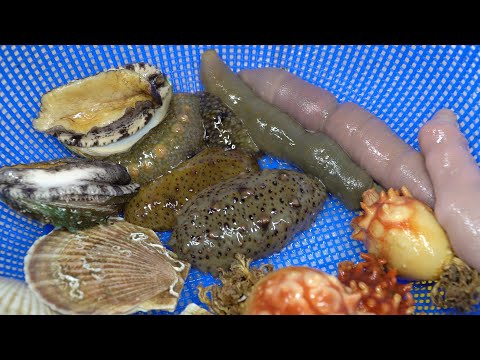 소래포구 4만원에 모듬회를 뜨다!! / Various Kind of Seafood - Korean Street Food / 海鮮總匯