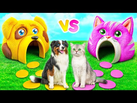 We Built a House For Pets | Crazy Challenge by Multi DO Smile