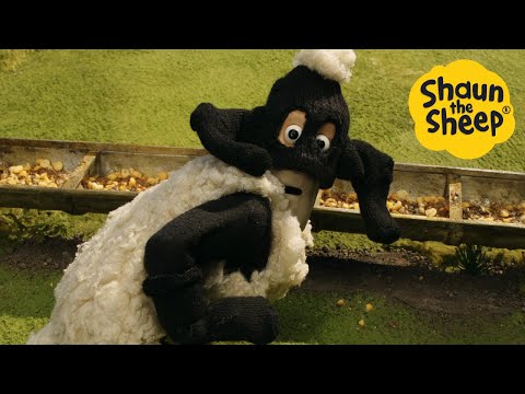 Shaun the Sheep 🐑 Is that a sheep? - Cartoons for Kids 🐑 Full Episodes Compilation [1 hour]