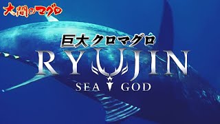 お正月特番 巨大クロマグロ～孤高の洋上戦～大間マグロ BLUEFIN TUNA まぐろ漁師 南兄弟 竜神りゅうじん 龍神 RYUJIN