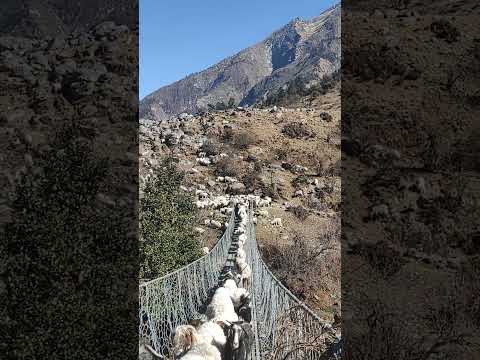 We Found the Most Romantic Nepali Duet Songs in Nature