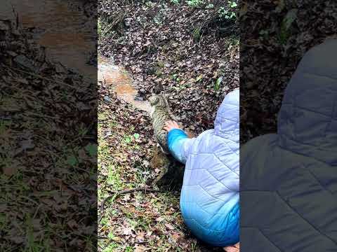 Nate and Nessa help the Creek and Add a Sluice Box #kids #water  #minecraftirl