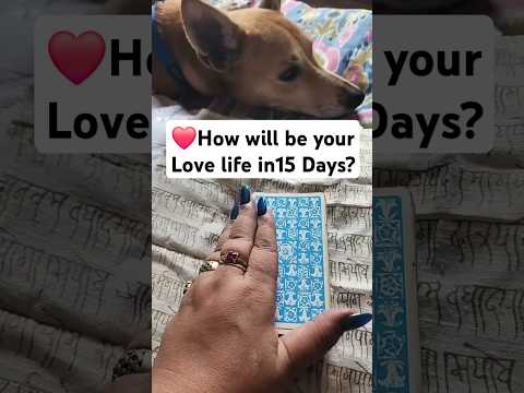 How Will be your love Life next 15 Days? #shorts #love #tarot #astrology #switchwords