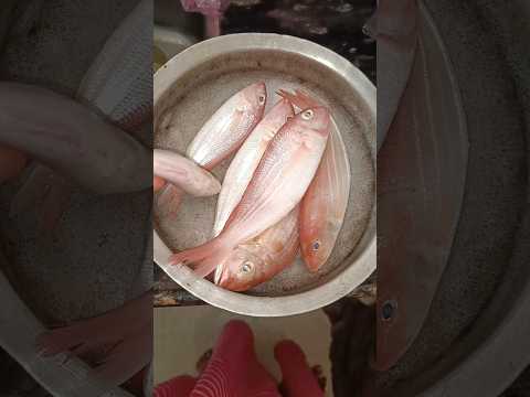 మీరు ఎలాంటి food ఇష్టపడేవారు #shorts #trending #youtubeshorts #subscribe #ytshorts #childhood #fish