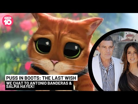 Puss In Boots: The Last Wish | Studio 10