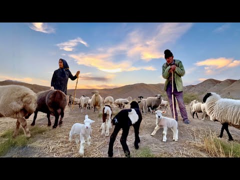 Exploring Iran’s Rural Traditional Life | A Visual Journey Through Iran's Mountain Villages