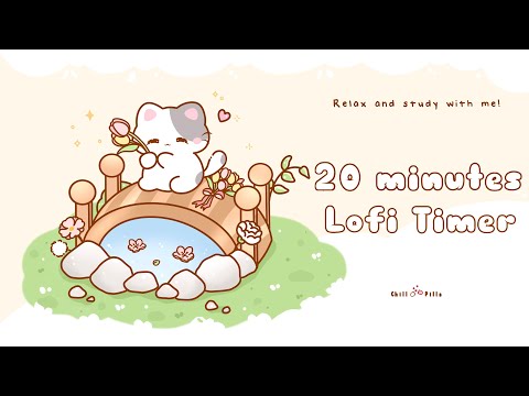 20 minutes - Relax & study with me Lofi | Cat on bridge #timer #20minutetimer #lofi #relaxing #calm